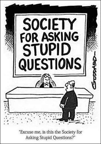 Cartoon - Stupid Question