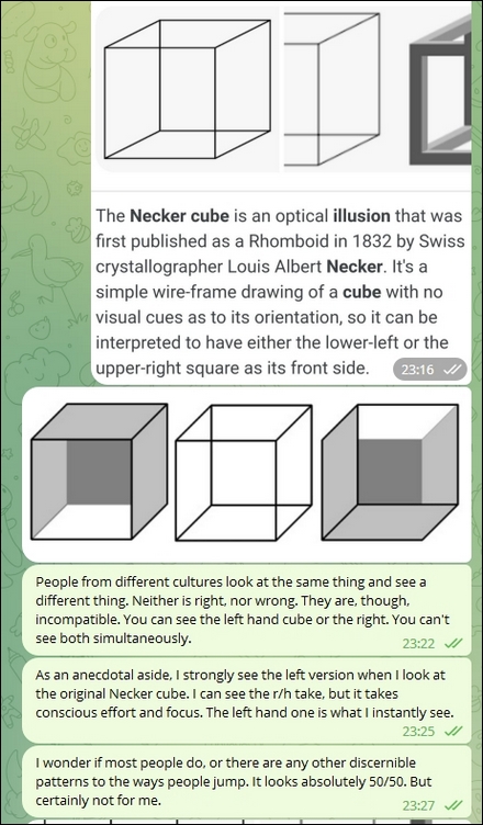 The Necker cube