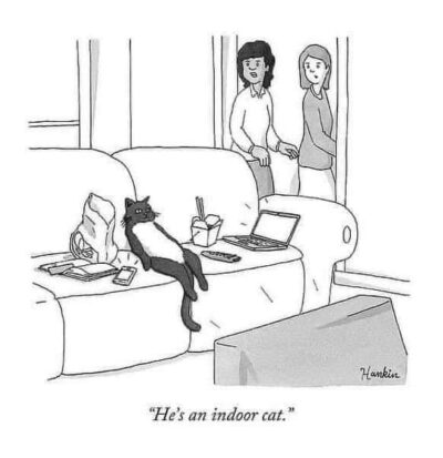 Cartoon - indoor cat