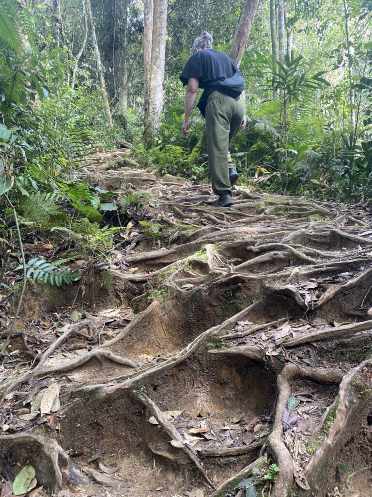 Tanah Rata, Malaysia