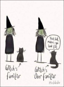 witch's familiar cartoon