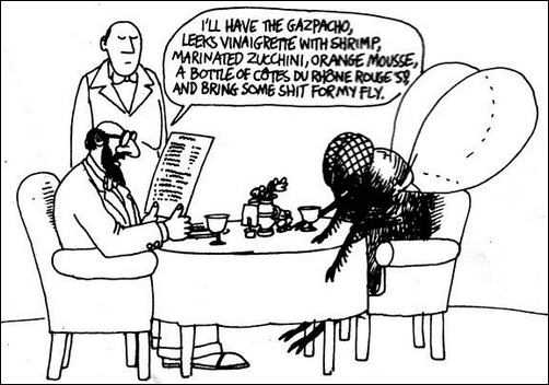 Kliban's fly