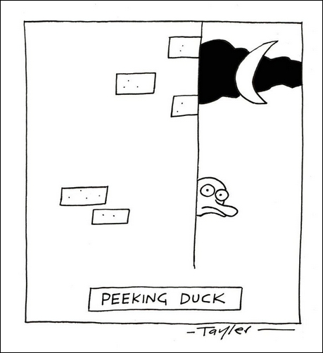 Peeking duck