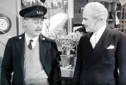 Devil may care Brits