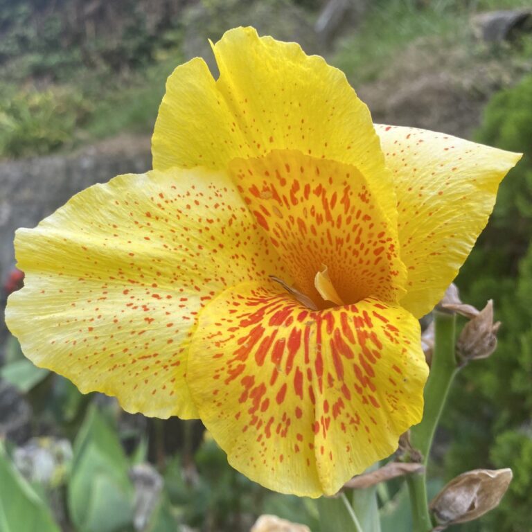 Penang Hill, George Town, Malaysia