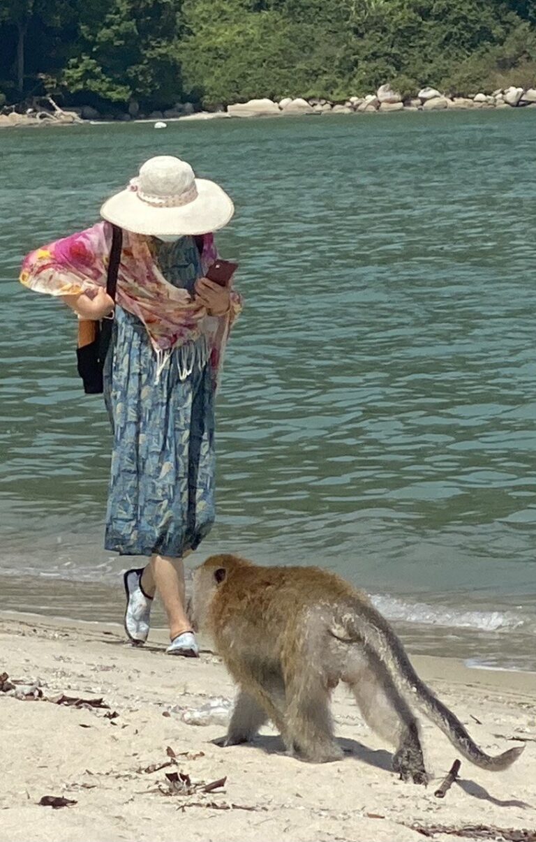 Monkey Beach, near George Town, Malaysia