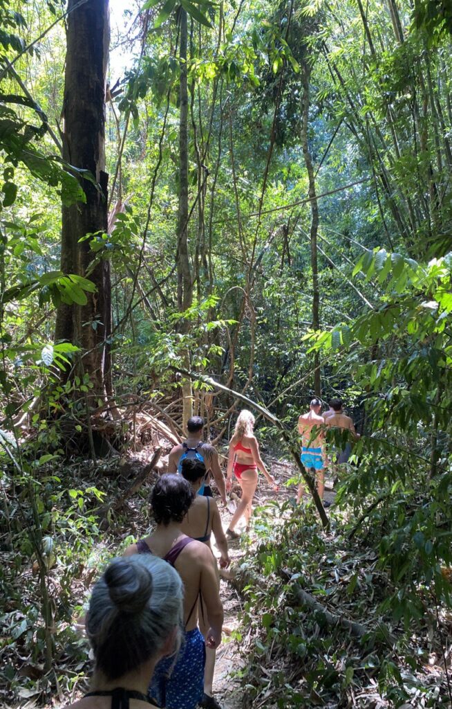 Khao Sok National Park, Khao Sok, Thailand