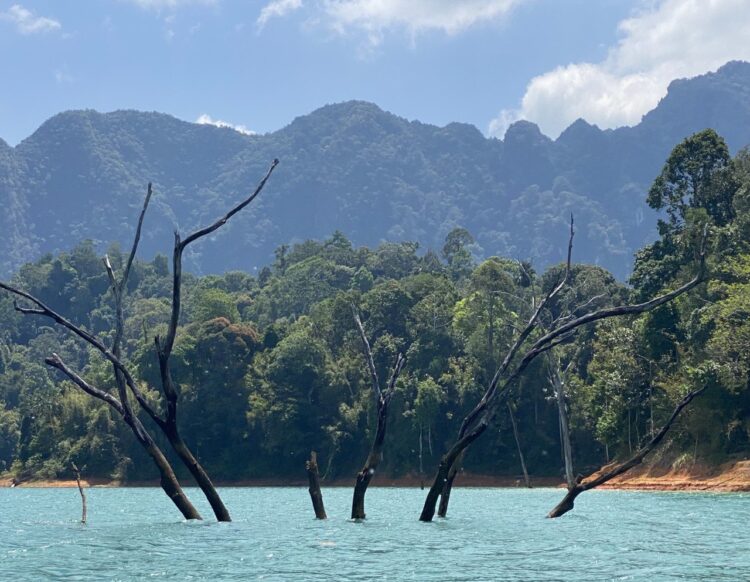 Khao Sok National Park, Khao Sok, Thailand