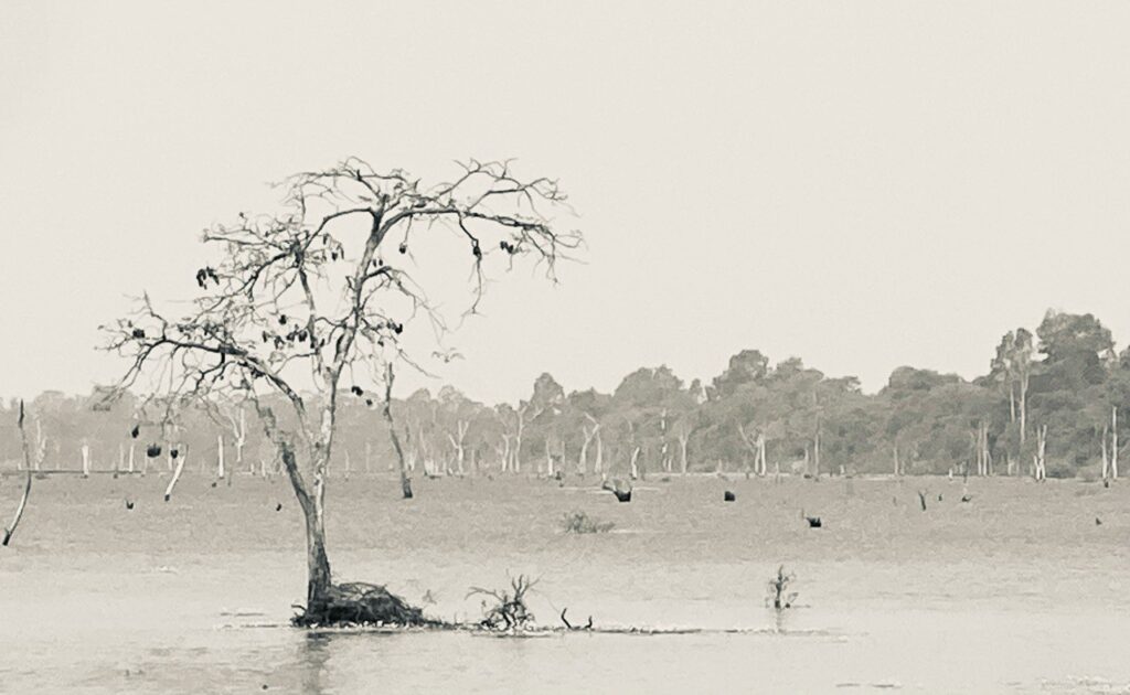 Angkor Wat complex, Cambodia