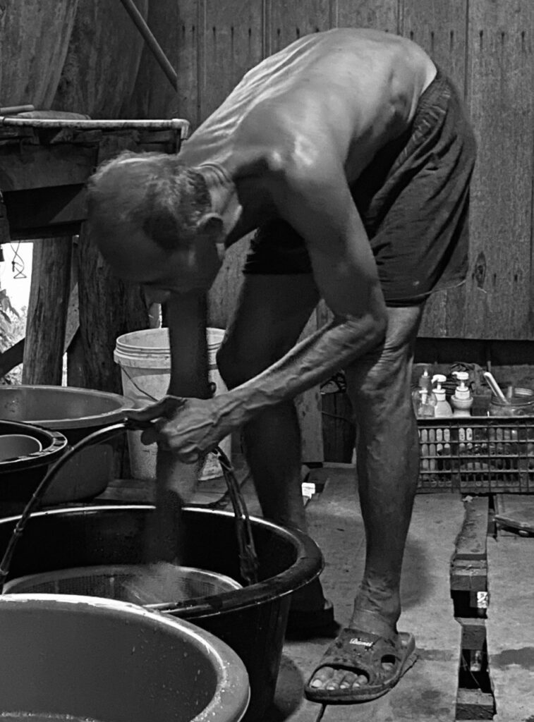 Rice noodle making, Kratie District, Cambodia