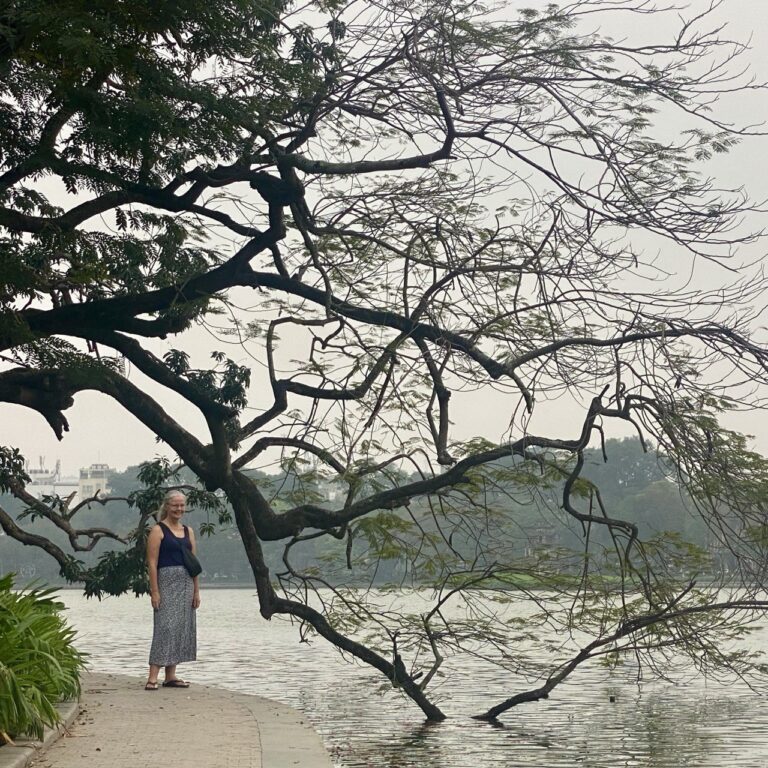 Photo op tree, Hanoi, Vietnam