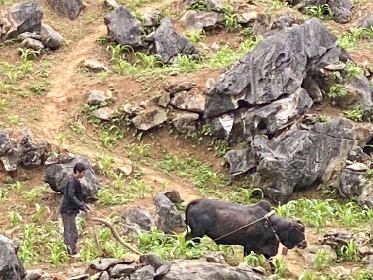 Ha Giang loop, Vietnam