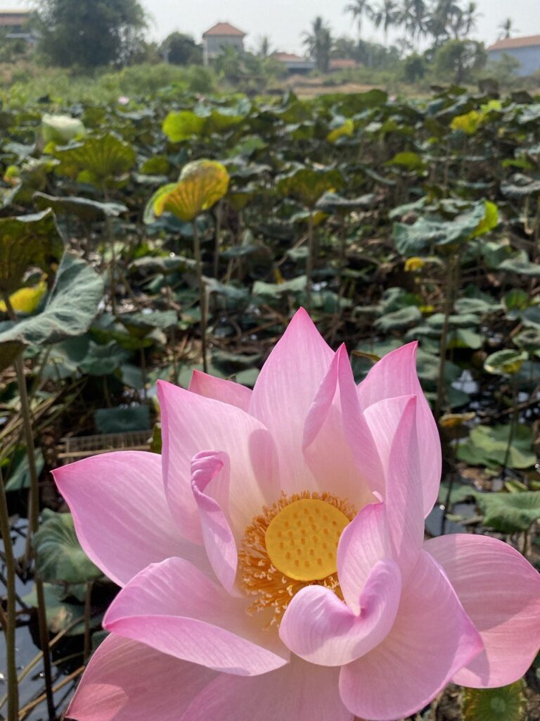 Kratie, Cambodia