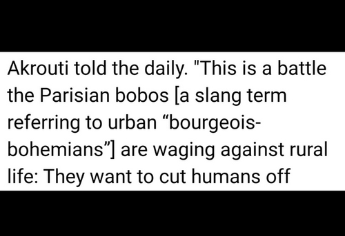 Parisian bobos