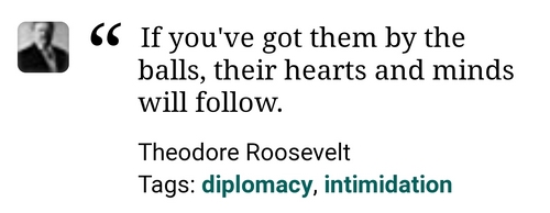 Teddy Roosevelt - President pithy