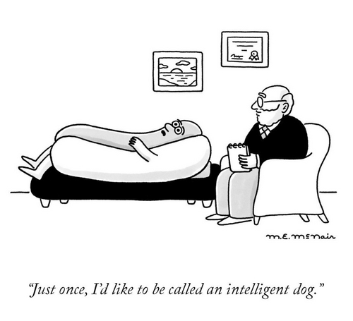 Intelligent dog cartoon