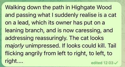 Wordlistory - Owner - angry pusscat