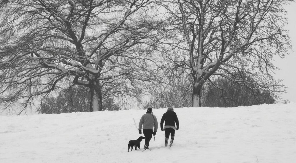 Winter's day on Hampstead Heath