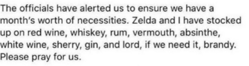 Zelda and life's necessities