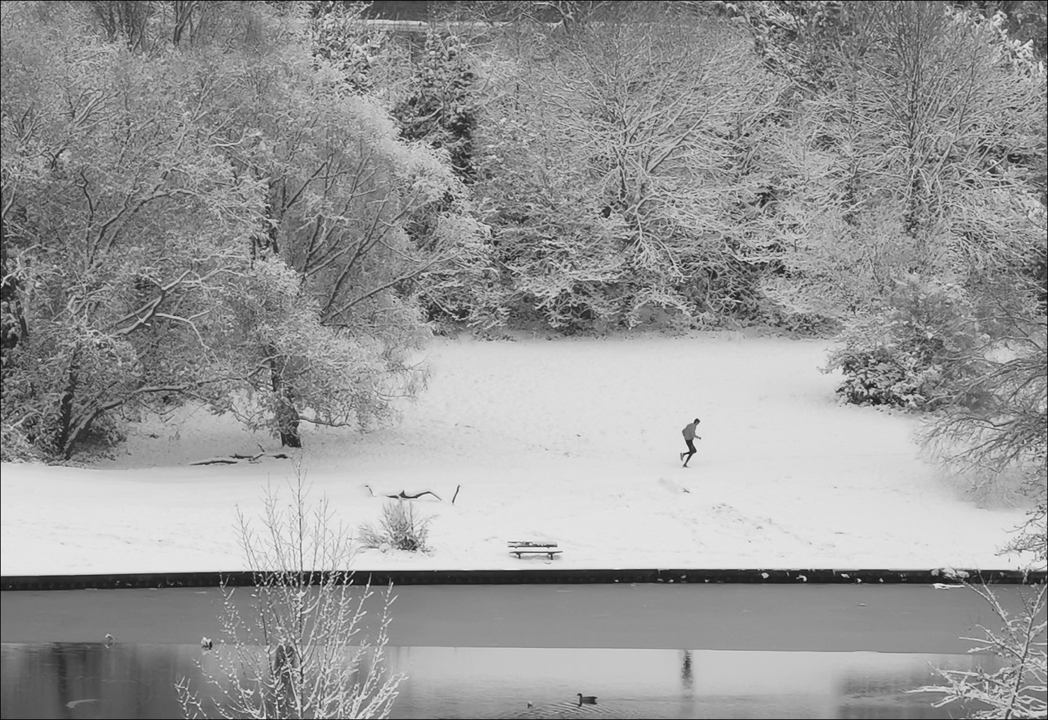 Hampstead Heath winter