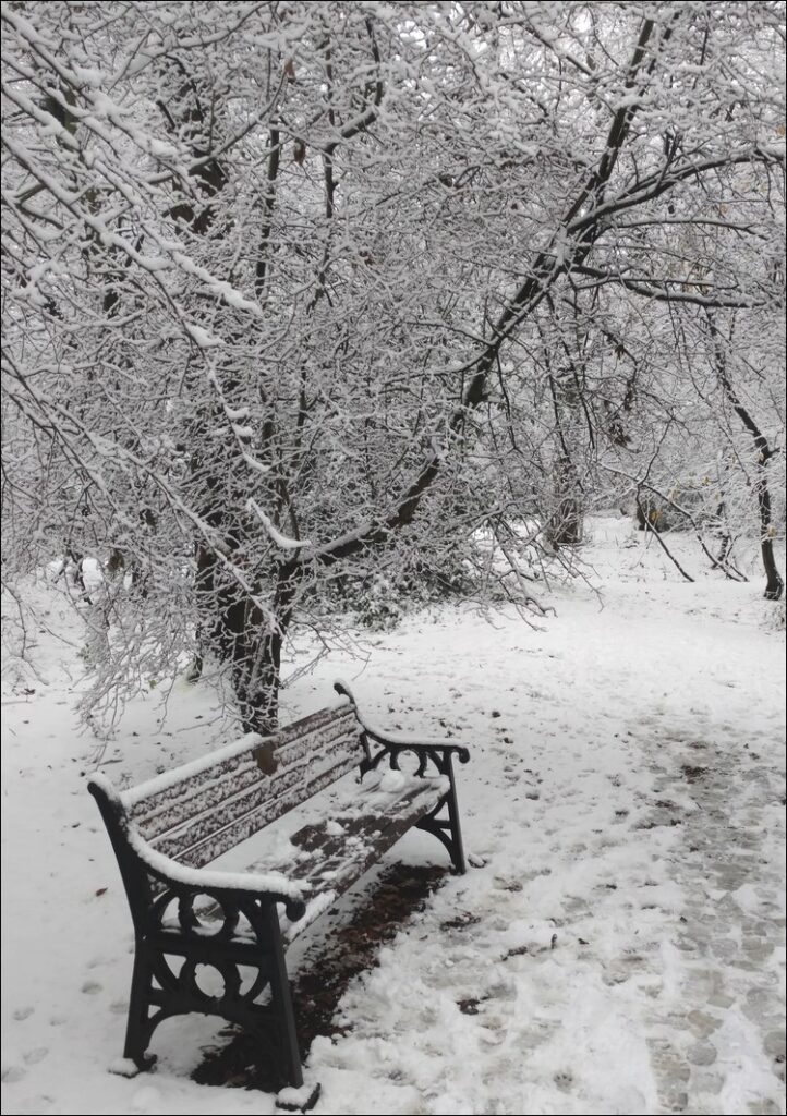 Winter in Queen's Wood, Crouch End, London