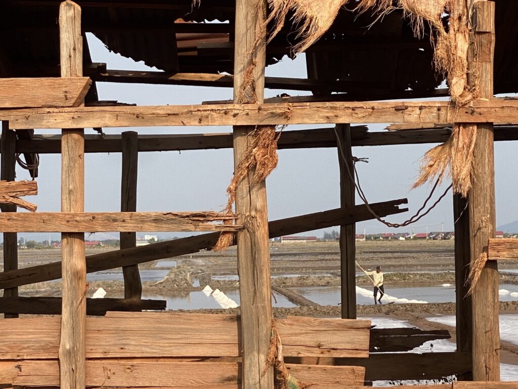 Harvesting salt in Kampot, Cambodia