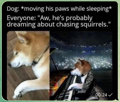 Canine concert pianist