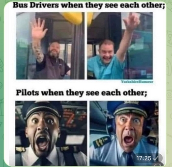 Bus drivers & pilots