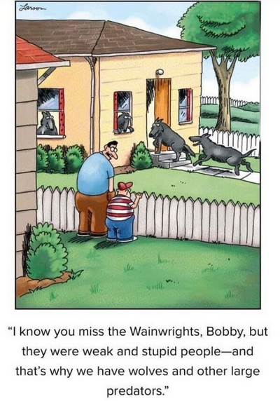 The reason for wolves cartoon