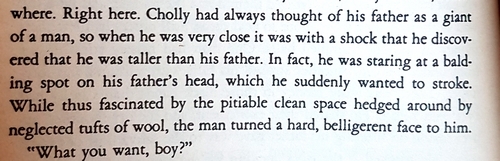 The Bluest Eye, Toni Morrison