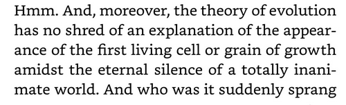 'amidst the eternal silence...'
