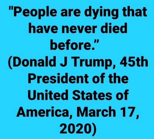 More Trump words of wisdom