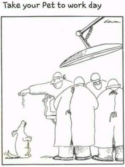Pet to work day cartoon
