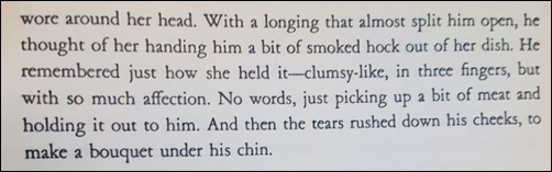 The Bluest Eye, Toni Morrison