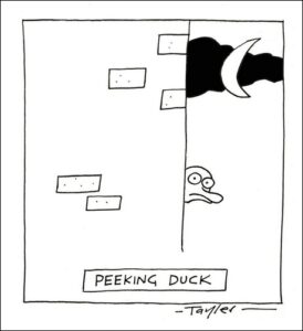 Peeking duck cartoon