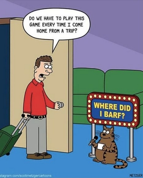 Where did I barf? cartoon