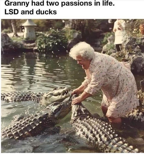 Granny loves LSD & ducks