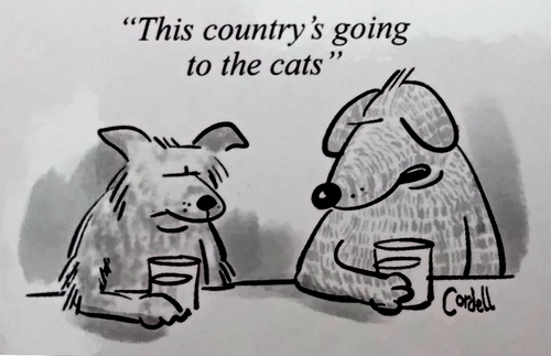 Going to the cats gag