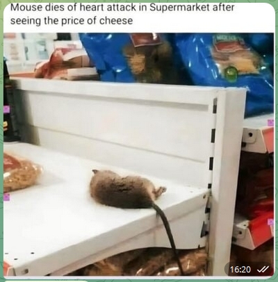 The True Price of Cheese
