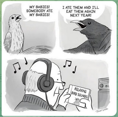 Birdsong joke
