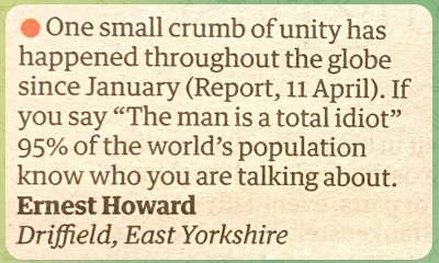 President Total Idiot