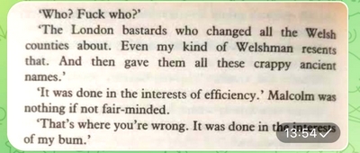 The Old Devils - Kingsley Amis