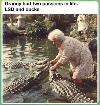 Granny likes LSD and ducks