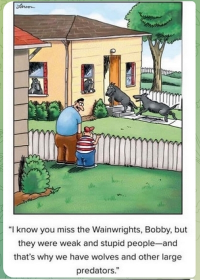 wainwrights and wolves cartoon