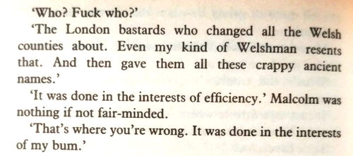 Kingsley Amis - The Old Devils