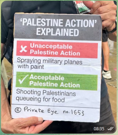 Palestine Action explained by the Eye