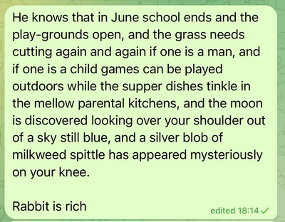 Rabbit is Rich