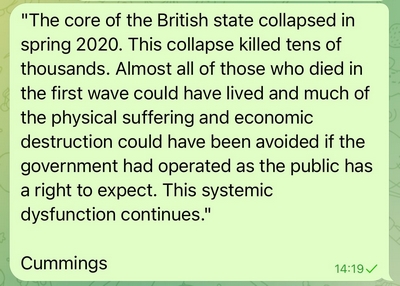 Cummings on Government covid meltdown