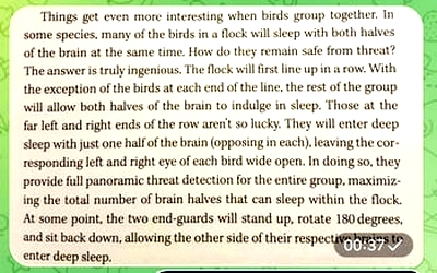 Why we sleep - Matthew Walker