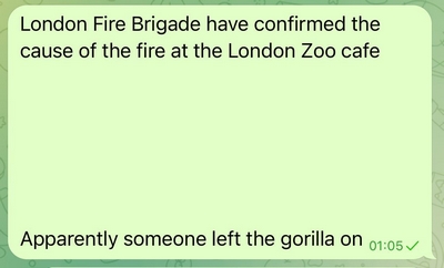 London Zoo gorilla gag